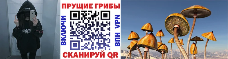 Псилоцибиновые грибы прущие грибы  купить наркоту  кракен зеркало  Старая Русса 